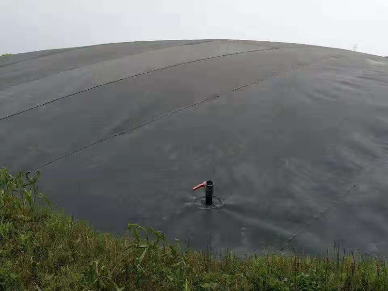 黑膜沼氣池